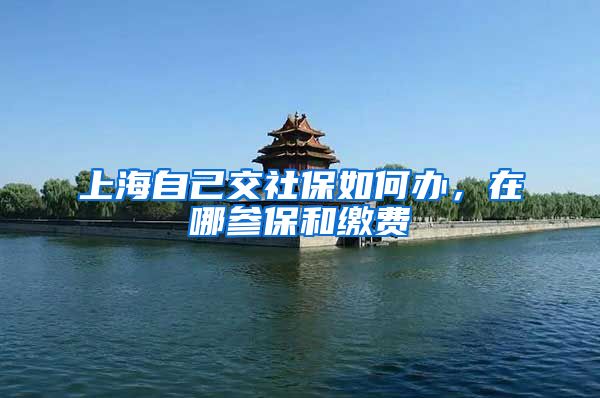上海自己交社保如何办,在哪参保和缴费