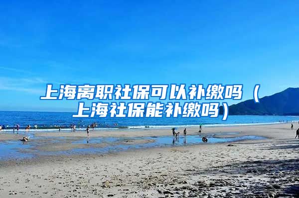 上海离职社保可以补缴吗（上海社保能补缴吗）