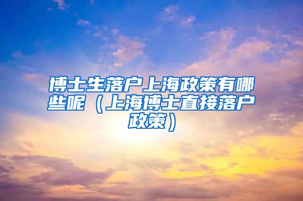 博士生落户上海政策有哪些呢（上海博士直接落户政策）