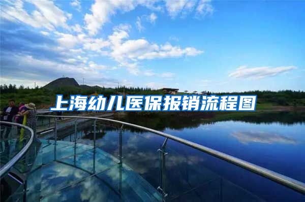 上海幼儿医保报销流程图
