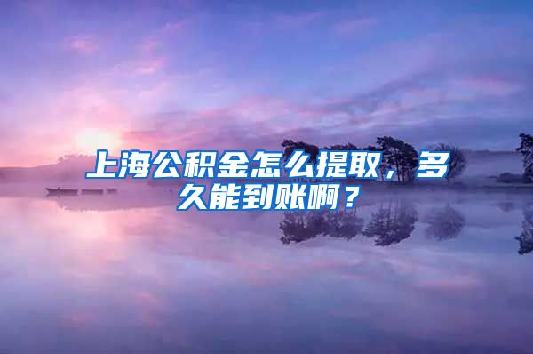 上海公积金怎么提取，多久能到账啊？