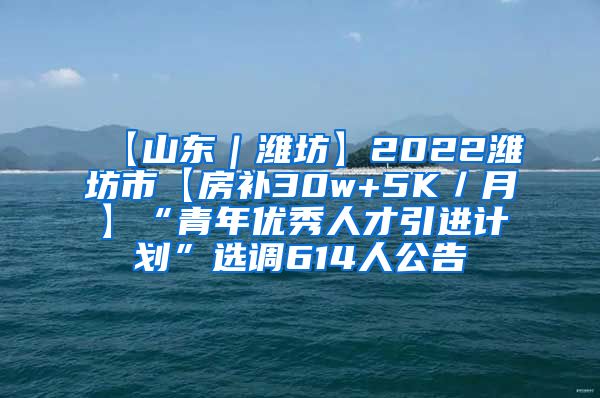 【山东｜潍坊】2022潍坊市【房补30w+5K／月】“青年优秀人才引进计划”选调614人公告