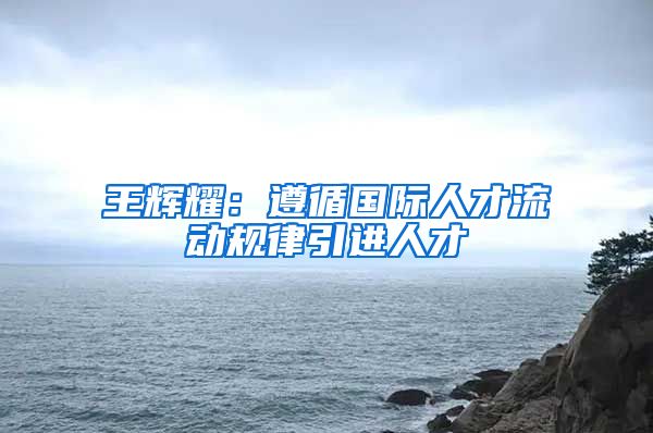 王辉耀：遵循国际人才流动规律引进人才