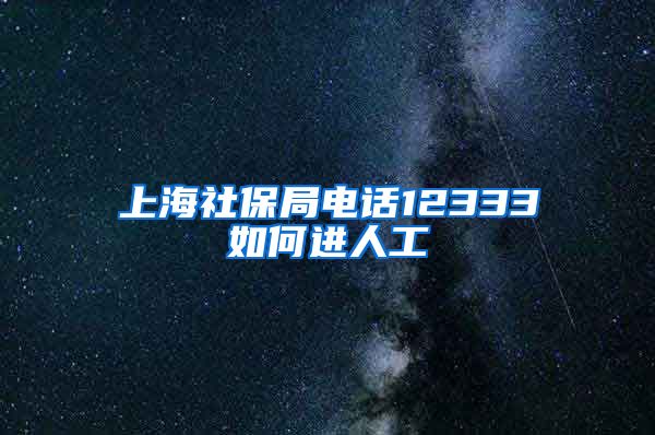 上海社保局电话12333如何进人工
