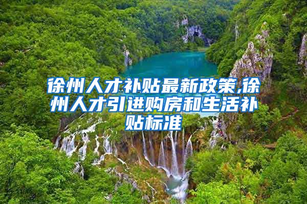 徐州人才补贴最新政策,徐州人才引进购房和生活补贴标准