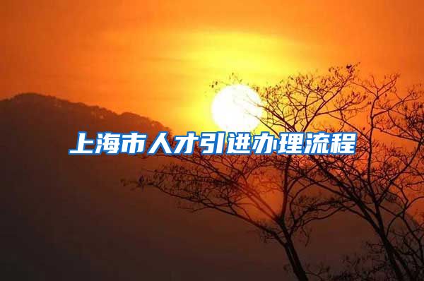 上海市人才引进办理流程
