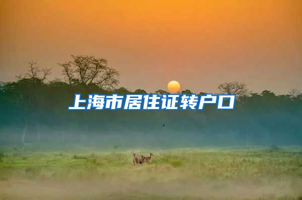 上海市居住证转户口
