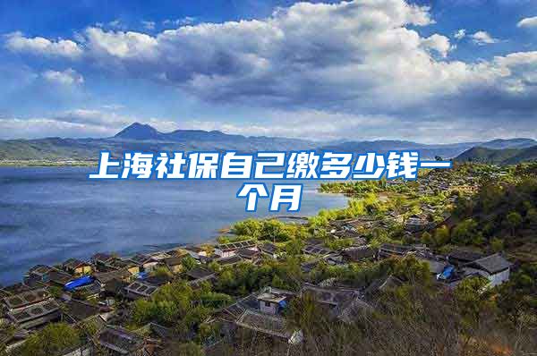 上海社保自己缴多少钱一个月