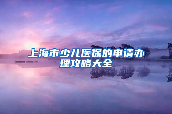 上海市少儿医保的申请办理攻略大全