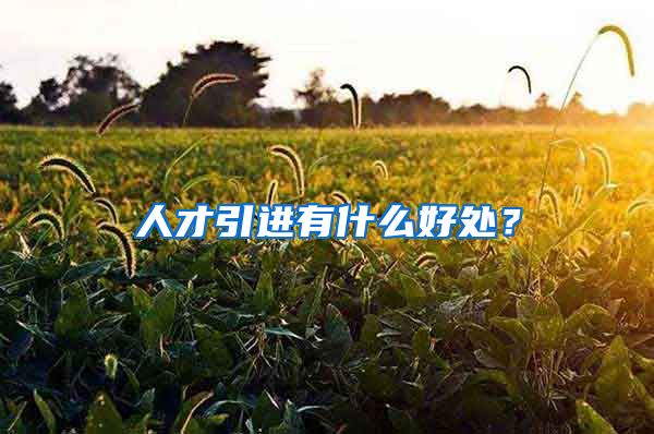 人才引进有什么好处？