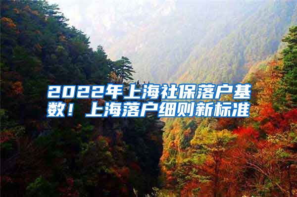 2022年上海社保落户基数！上海落户细则新标准