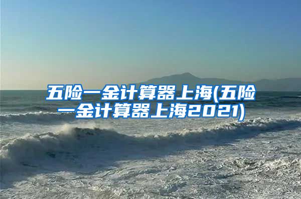 五险一金计算器上海(五险一金计算器上海2021)