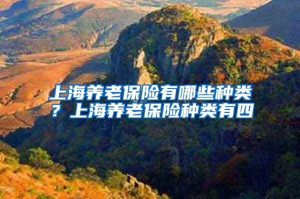 上海养老保险有哪些种类？上海养老保险种类有四
