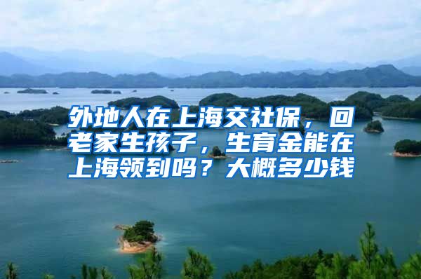 外地人在上海交社保，回老家生孩子，生育金能在上海领到吗？大概多少钱