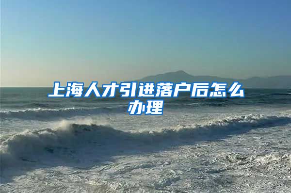 上海人才引进落户后怎么办理