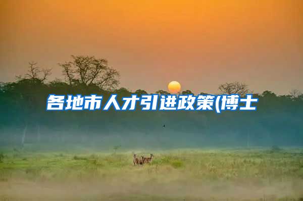 各地市人才引进政策(博士