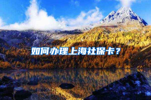 如何办理上海社保卡？