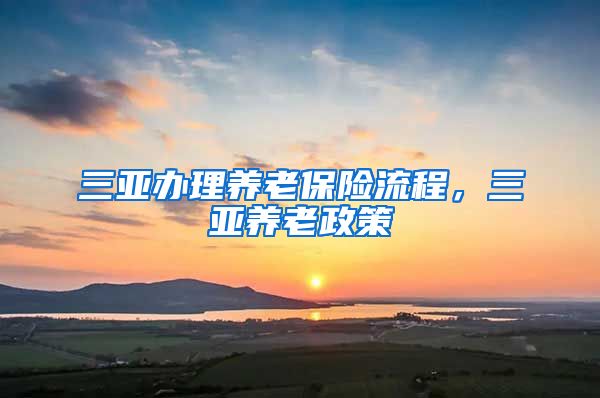 三亚办理养老保险流程，三亚养老政策