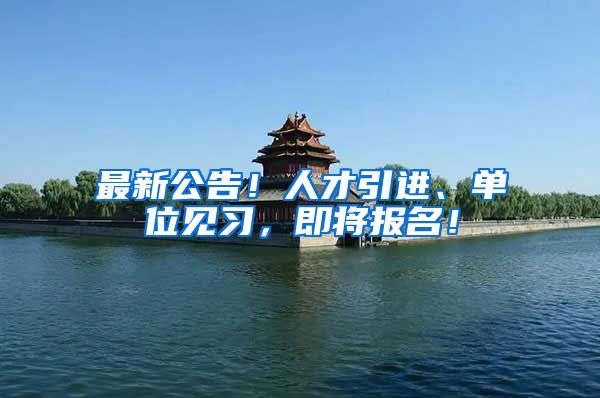 最新公告！人才引进、单位见习，即将报名！