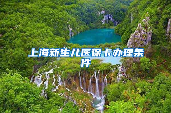 上海新生儿医保卡办理条件