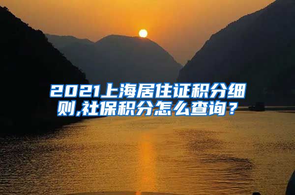 2021上海居住证积分细则,社保积分怎么查询？