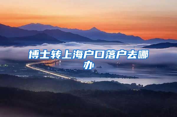 博士转上海户口落户去哪办