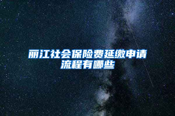 丽江社会保险费延缴申请流程有哪些