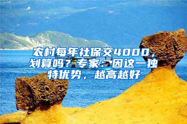 农村每年社保交4000，划算吗？专家：因这一独特优势，越高越好