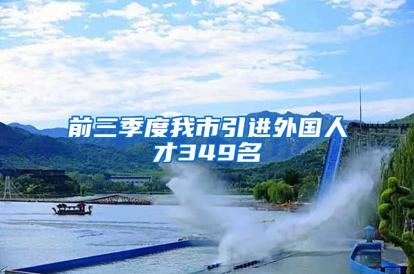 前三季度我市引进外国人才349名