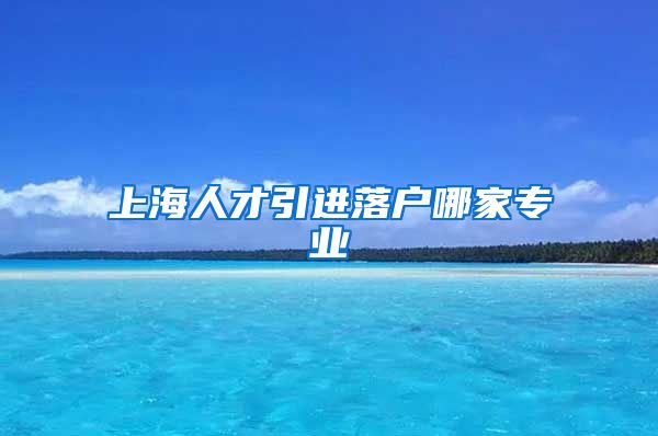 上海人才引进落户哪家专业