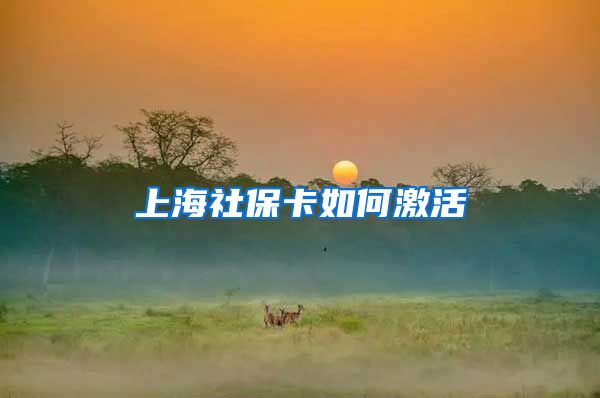 上海社保卡如何激活