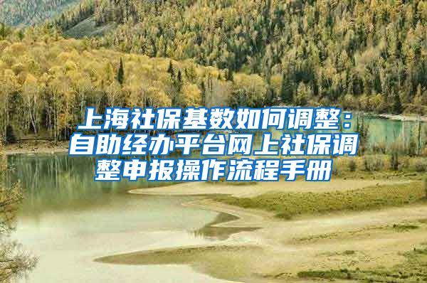 上海社保基数如何调整：自助经办平台网上社保调整申报操作流程手册