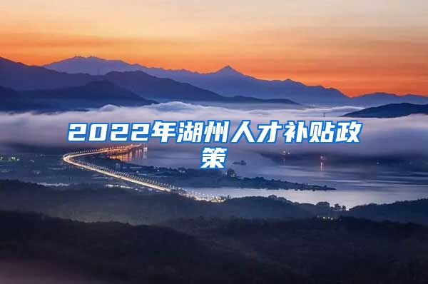 2022年湖州人才补贴政策