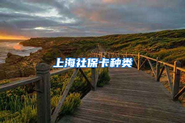 上海社保卡种类
