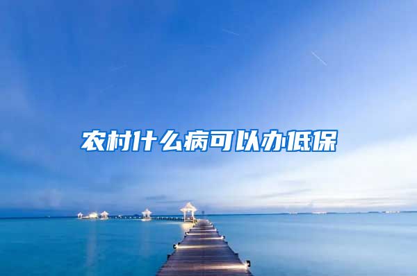 农村什么病可以办低保