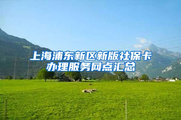 上海浦东新区新版社保卡办理服务网点汇总