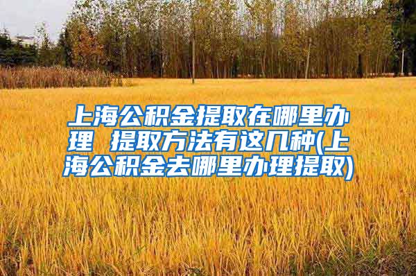 上海公积金提取在哪里办理 提取方法有这几种(上海公积金去哪里办理提取)