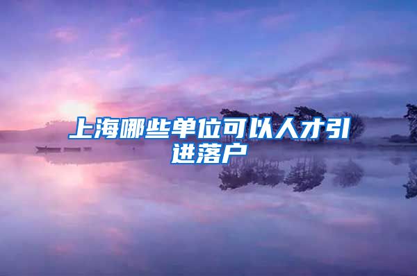 上海哪些单位可以人才引进落户