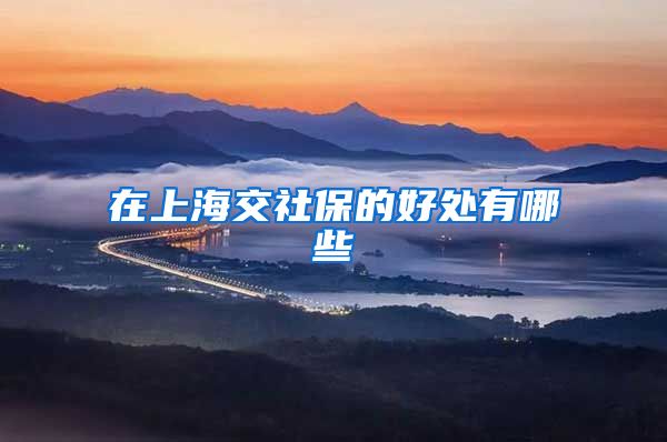 在上海交社保的好处有哪些
