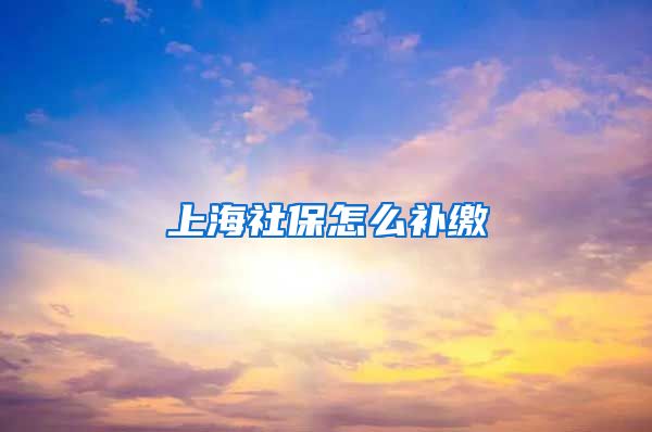 上海社保怎么补缴