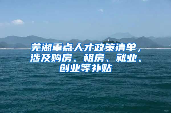 芜湖重点人才政策清单，涉及购房、租房、就业、创业等补贴