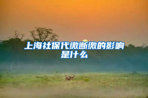 上海社保代缴断缴的影响是什么