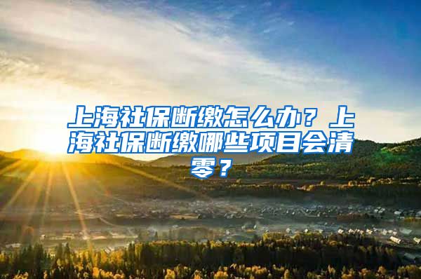 上海社保断缴怎么办？上海社保断缴哪些项目会清零？