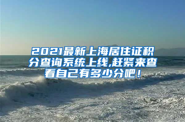 2021最新上海居住证积分查询系统上线,赶紧来查看自己有多少分吧！