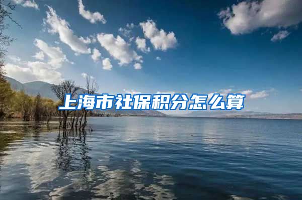 上海市社保积分怎么算