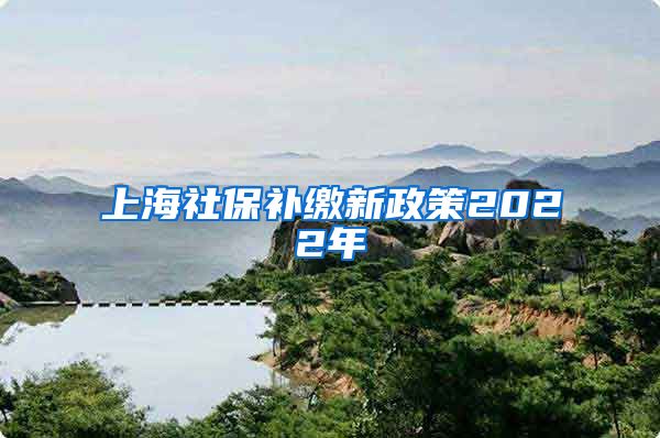 上海社保补缴新政策2022年