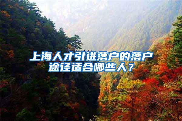 上海人才引进落户的落户途径适合哪些人？