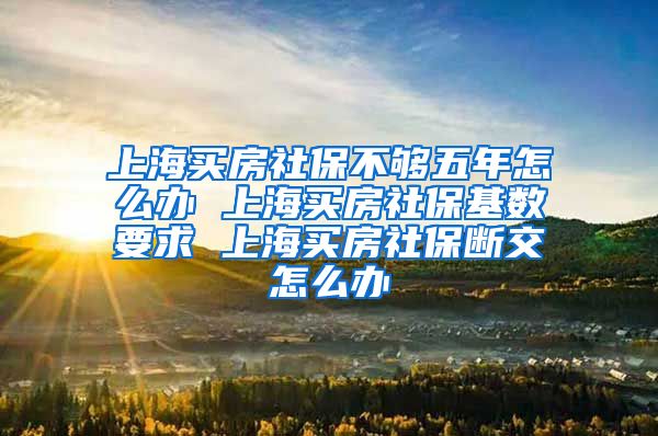上海买房社保不够五年怎么办 上海买房社保基数要求 上海买房社保断交怎么办