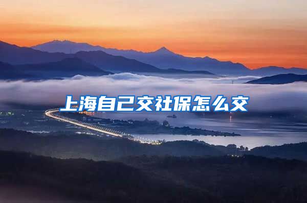 上海自己交社保怎么交