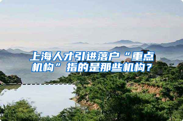 上海人才引进落户“重点机构”指的是那些机构？